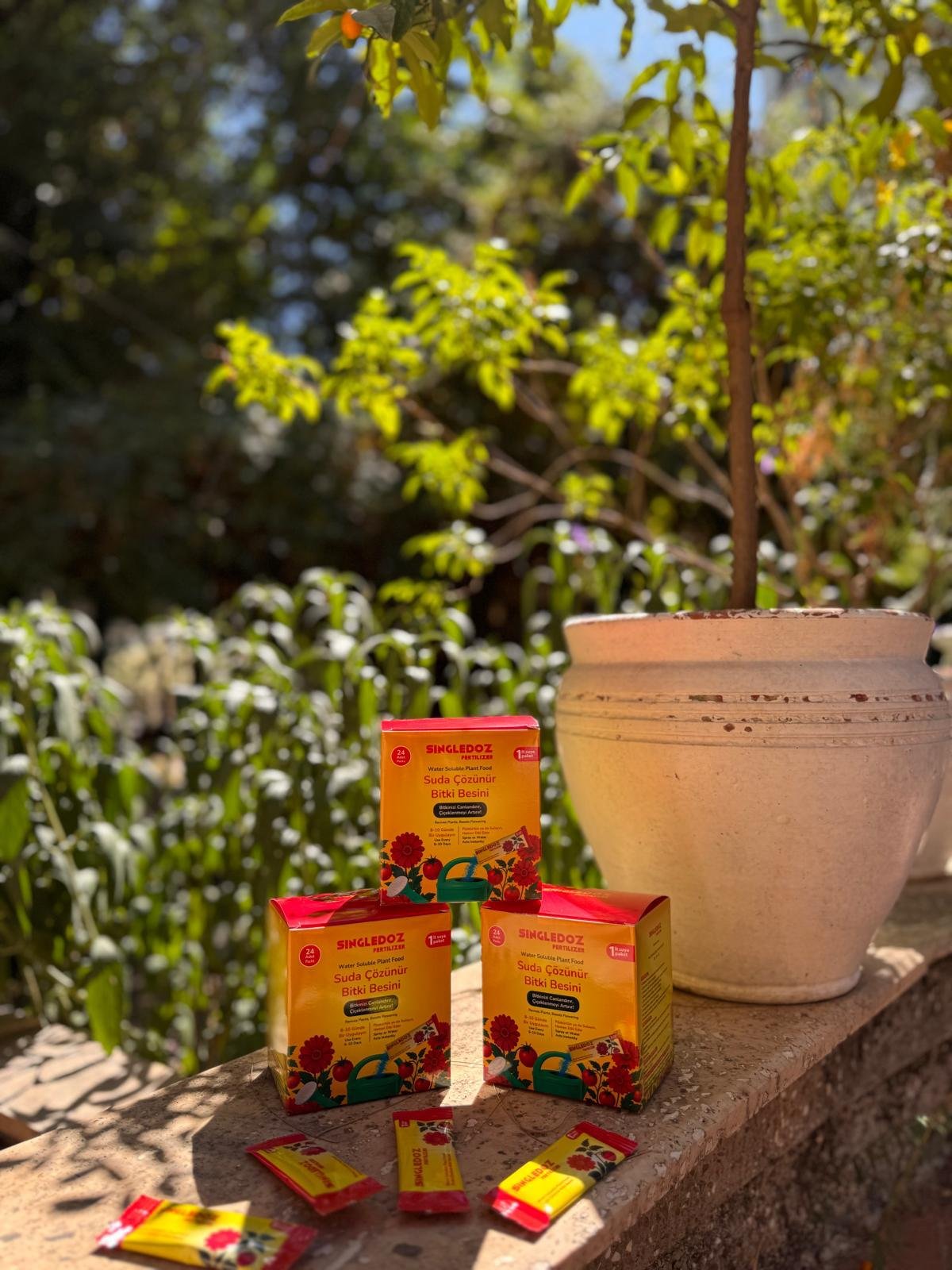 WhatsApp Image 2025-10-28 at 10.34.35 (3)